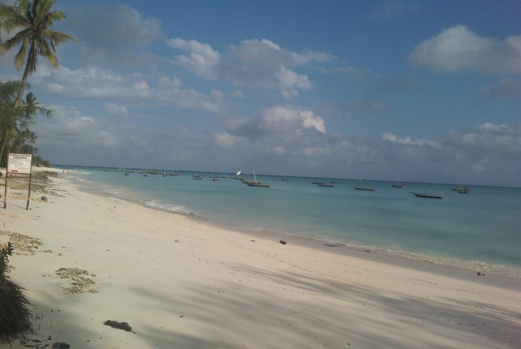Baraka Aquarium Bungalows Nungwi Buitenkant foto