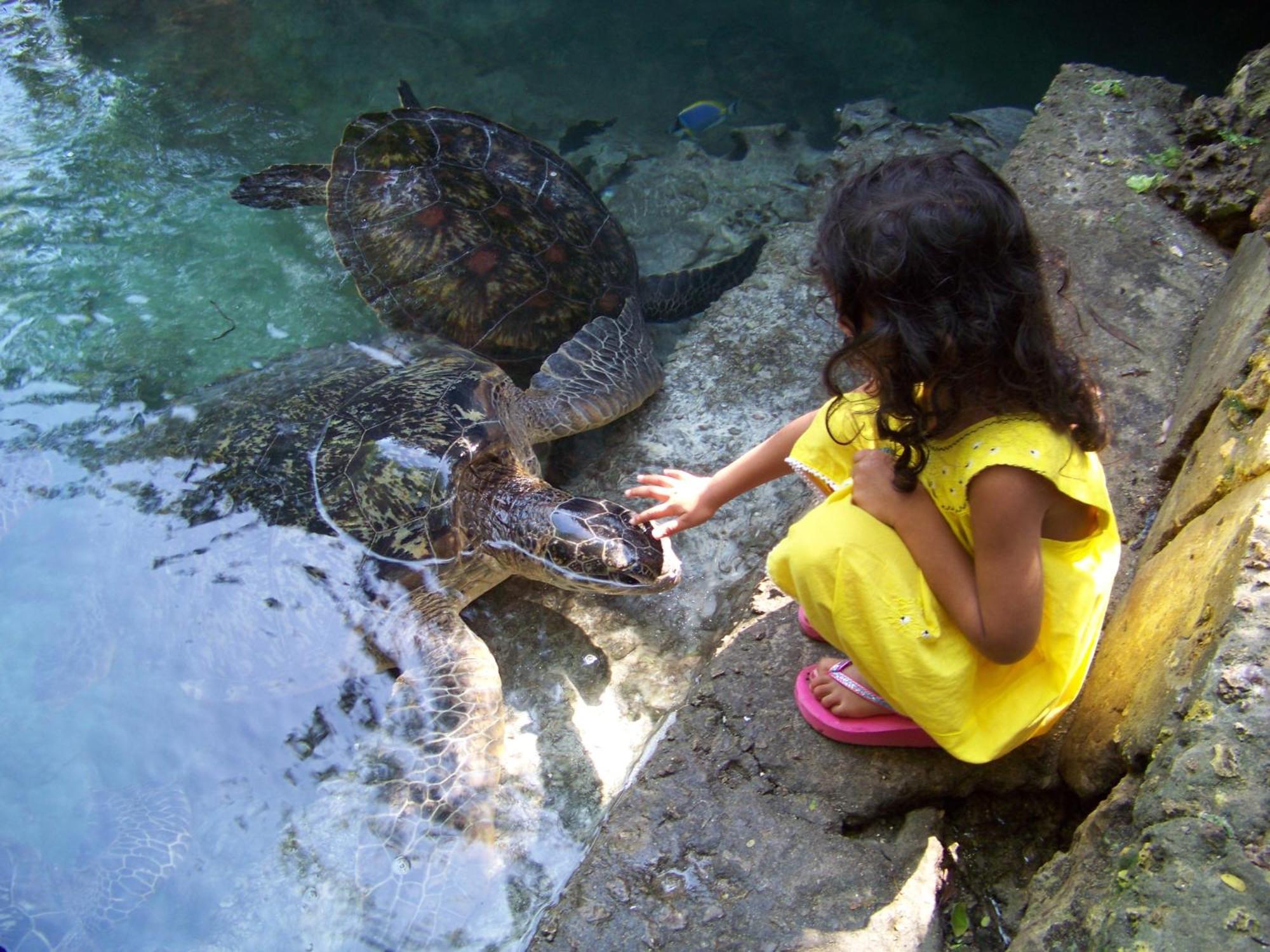 Baraka Aquarium Bungalows Nungwi Buitenkant foto