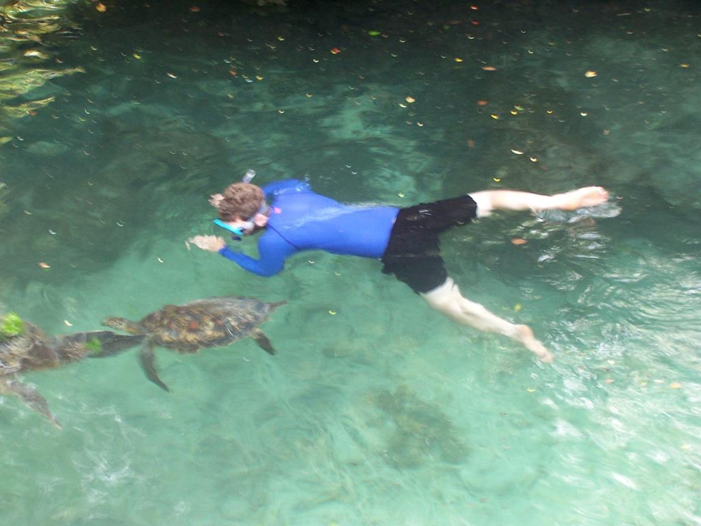 Baraka Aquarium Bungalows Nungwi Buitenkant foto
