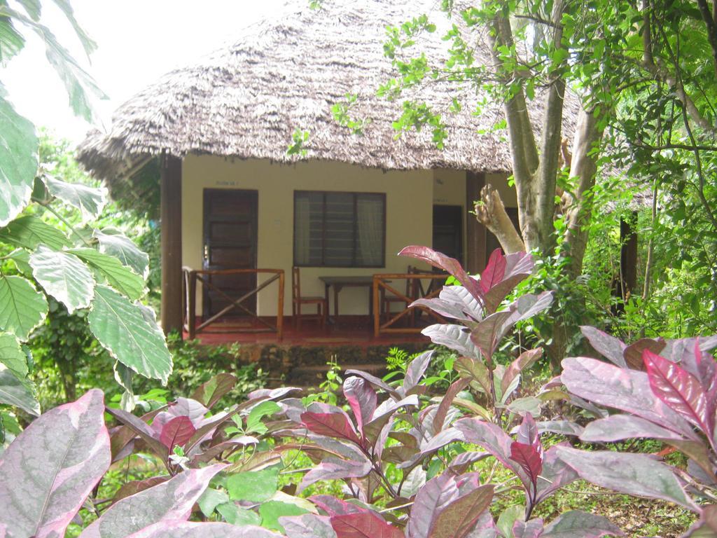 Baraka Aquarium Bungalows Nungwi Buitenkant foto