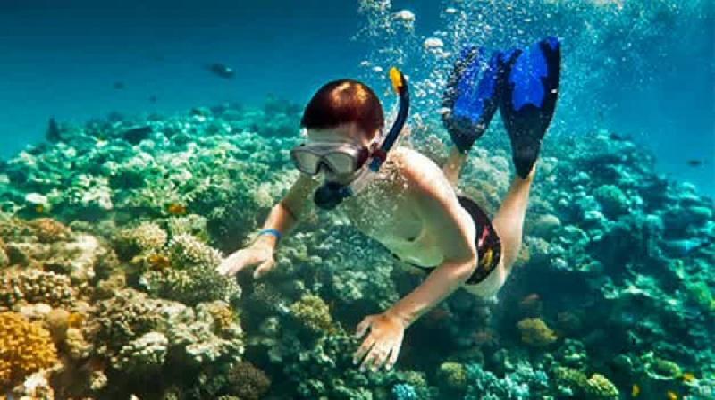 Baraka Aquarium Bungalows Nungwi Buitenkant foto