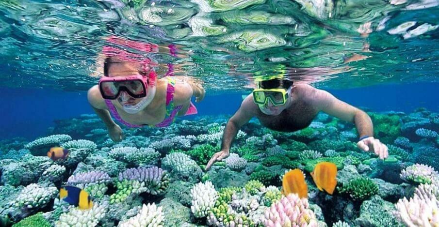 Baraka Aquarium Bungalows Nungwi Buitenkant foto
