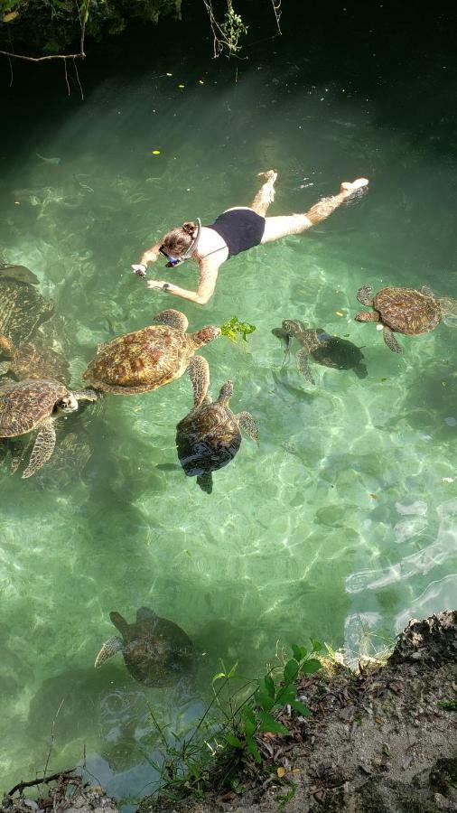 Baraka Aquarium Bungalows Nungwi Buitenkant foto