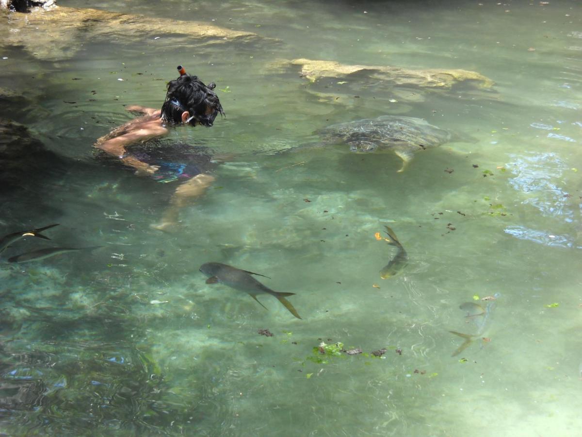 Baraka Aquarium Bungalows Nungwi Buitenkant foto